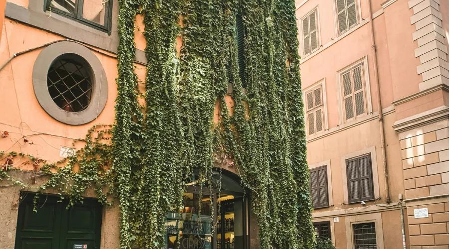 Fin de semana en Roma: descubra las maravillas de la capital Hotel Mecenate Palace Fin de semana en Roma: descubra las maravillas de la capital Hotel Mecenate Palace